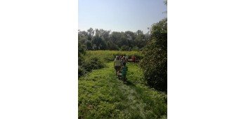 Placówka Wsparcia Dziennego “Dla Rodziny” 